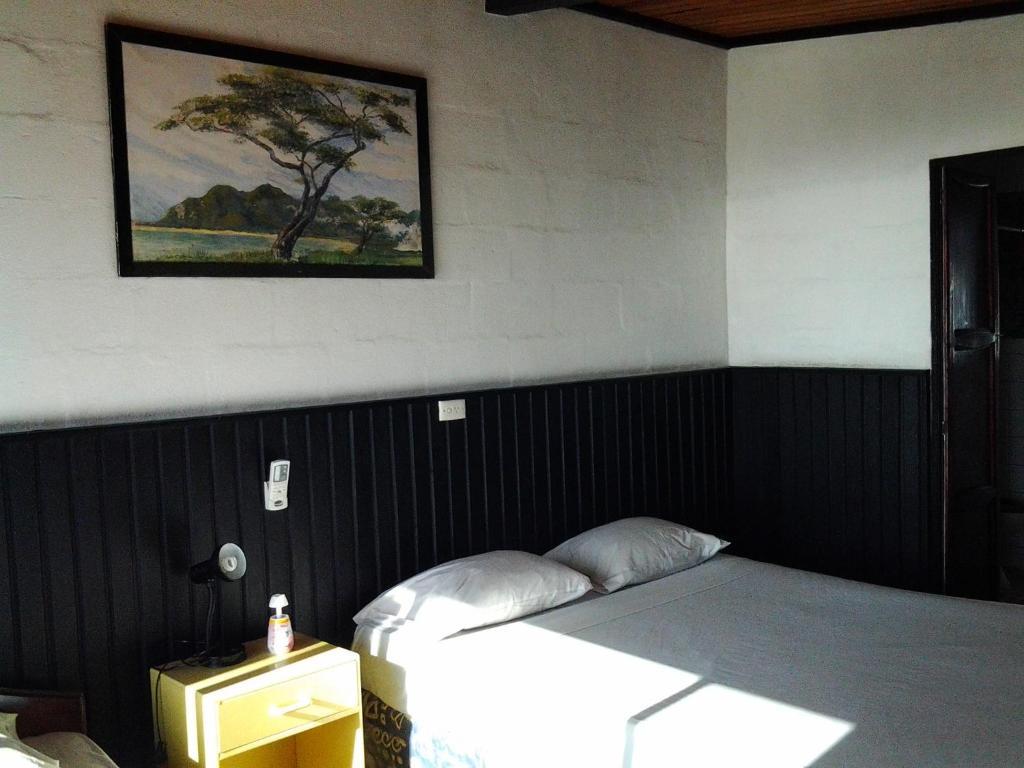 Hostel Bamboo Backpackers Nadi Pokój zdjęcie