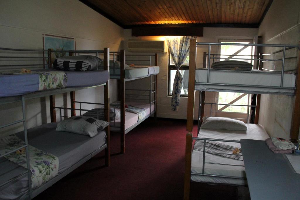 Hostel Bamboo Backpackers Nadi Pokój zdjęcie